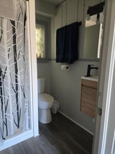 un bagno con un water e un lavandino di Fireside Lodge a Atlanta