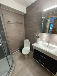 Un baño con inodoro, lavabo y ducha. en Hyllan, en Sälen 4 fotos más