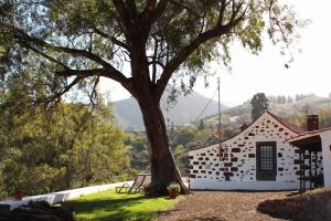 a building with a tree in front of it at Casa Rural Tintilla in Vega de San Mateo