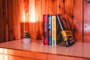 The library in the country house