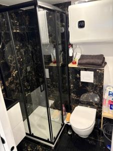 a bathroom with a shower and a toilet at Cabanon aux films in Saint-Brieuc +10 photos