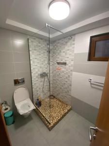 a bathroom with a shower with a toilet and a glass door at Cabana Irina Băile Figa in Beclean