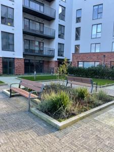 Κήπος έξω από το Cozy room in a shared apartment