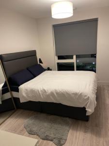 una camera da letto con un letto e una grande finestra di Cozy room in a shared apartment a Lucan