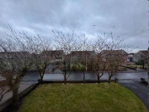 a group of trees in a park next to a river at FERRY HOUSE - INVOICE and REDUCED PRICE only via SUNRISE SHORT LETS DUNDEE, 4 Bed House, Great for Contractors, Fully Equipped, Private Parking, Easy Ring Road Access - ASK SUNRISE SHORT LETS - LONG TERM RATES AVAILABLE in Dundee