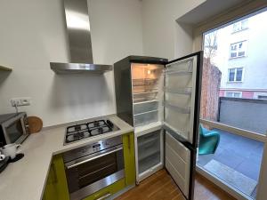 Köök või kööginurk majutusasutuses Apartment Karla Čapka