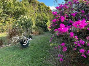 Zahrada ubytování Jardin des Anges-Bungalows créoles et studio