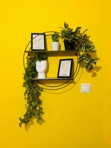 Fotografie z fotogalerie ubytování Yellow home Κίτρινο Σπίτι - myHomee v destinaci Xanthi