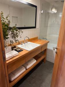 a bathroom with a sink and a mirror at El Pedregoso Flights & Lodge in Cholila
