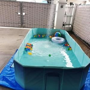 Fotografie z fotogalerie ubytování Homestay Raikan Cinta v destinaci Melaka