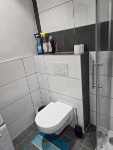 Koupelna v ubytování AlSa Apartments