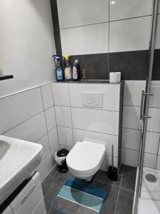Koupelna v ubytování AlSa Apartments