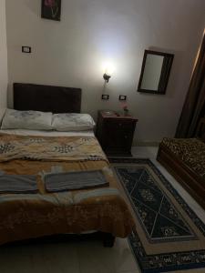 Letto o letti in una camera di Youssef Pyrameds View INN