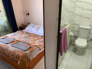 una camera da letto con un letto, una doccia e un bagno di Youssef Pyrameds View INN a Il Cairo