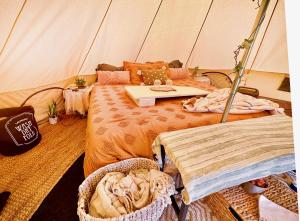 Jídlo v luxury tent nebo okolí