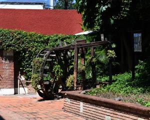 Hotel Hacienda外面的花园