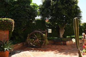 Hotel Hacienda外面的花园