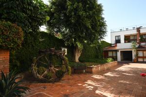 Hotel Hacienda外面的花园