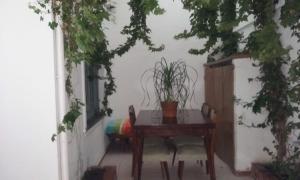 Κήπος έξω από το Hotel Marisol