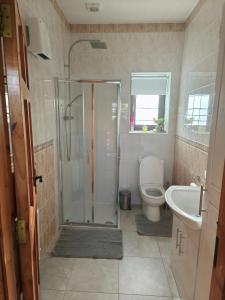 a bathroom with a shower and a toilet and a sink at mitchelstown castle chalet in Mitchelstown +18 photos