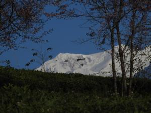 Gallery image of DENZONG HOMESTAY Lhadinkyu in Temi +105 photos