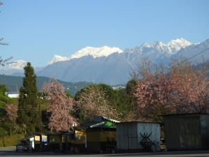 Gallery image of DENZONG HOMESTAY Lhadinkyu in Temi