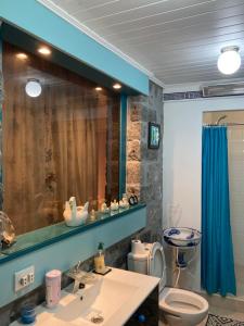 a bathroom with a sink and a toilet and a mirror at Casa da Música BR in Furnas +85 photos
