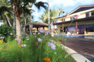 Φωτογραφία από το άλμπουμ του Rainbow holiday resort σε Mbuambua Island