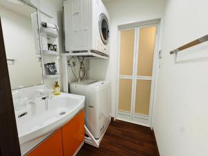 a bathroom with a sink and a washer and dryer at HOTEL Ishigakijima 2020 in Ishigaki Island +25 photos
