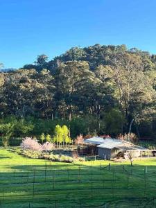 una casa frente a un campo con una valla en Treetops at Harrietville, en Harrietville 10 fotos más