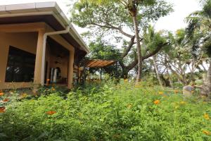 Φωτογραφία από το άλμπουμ του Rainbow holiday resort σε Mbuambua Island +65 φωτογραφίες