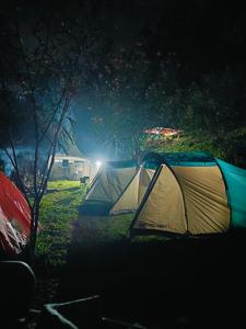 a group of tents in a field at night at D'Sentra Camping Ground in Pengalengan +4 photos