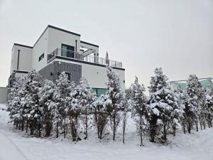 Daori Pension v zimě
