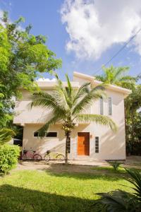 Mini Pini Birdwatching and cenote loft4 you only في كوزوميل: منزل أمامه نخلة