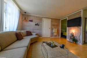 a living room with a couch and a tv at BnB Stavanger at Ap2 Nice and Cozy Central 3 Rooms in Stavanger +39 photos