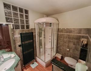 a bathroom with a shower and a toilet and a sink at Casa Dipinta in Cairo Montenotte +23 photos