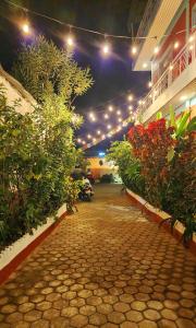 Hotel Ivy tesisinin dışında bir bahçe