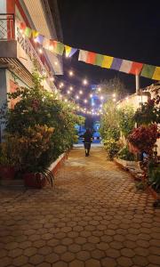 Pokhara şehrindeki Hotel Ivy tesisine ait fotoğraf galerisinden bir görsel
