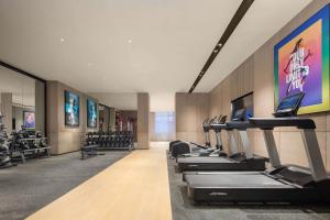Fitness centrum a/nebo fitness zařízení v ubytování Doubletree By Hilton Altay Fuyun