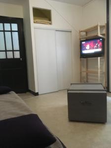 a living room with a tv and a bed at B9 villa MASSIAS in La Bourboule