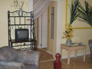 a living room with a couch and a tv at The Legend Garden Condos in Saint Peter
