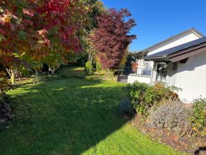 a yard with green grass and trees and a house at WohlfühlQuartier Schwedenstein in Bad Oeynhausen