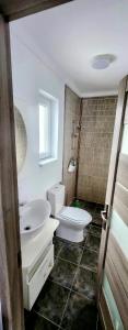 a bathroom with a white toilet and a sink at Casa de inchiriat in Oradea