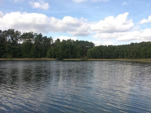 a large body of water with trees in the background at Bungalow Mechow in Mechow
