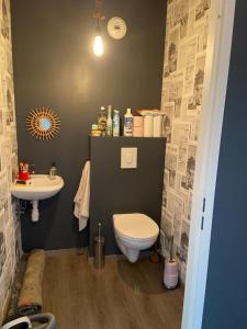 オニーにあるRésidence la gentilhommièreのトイレと洗面台付きのバスルーム