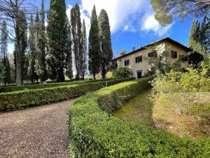 モンテスペルトリにあるApartment with pool and park near Florenceの生垣の横の道路付きの家