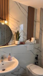 a bathroom with a sink and a toilet and a mirror at RelaxDays-Apartments 2 GARTEN und POOL- Mitbenutzung, kostenloser Parkplatz, kontaktloser CheckIn, WiFi mit SmartTV in Gütersloh