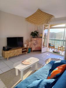 a living room with a couch and a tv at Le Capestang in Canet-en-Roussillon