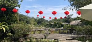 a group of red lanterns hanging over a patio at Bungalow in Ấp Cụ B
