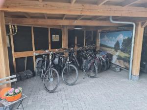 Jízda na kole v ubytování B&B Harskamp nebo okolí